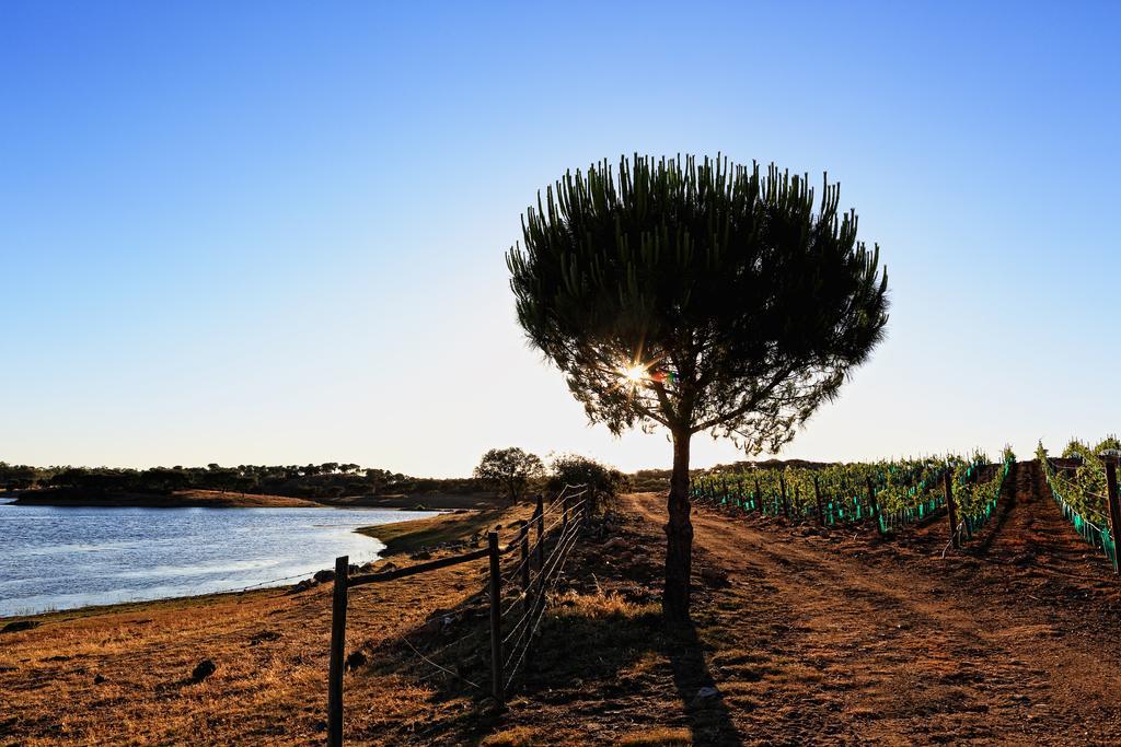Azaruja Herdade Da Calada المظهر الخارجي الصورة