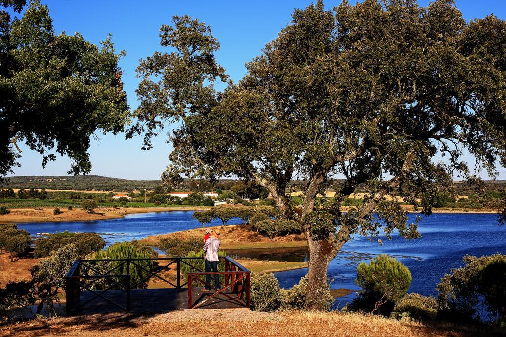 Azaruja Herdade Da Calada المظهر الخارجي الصورة